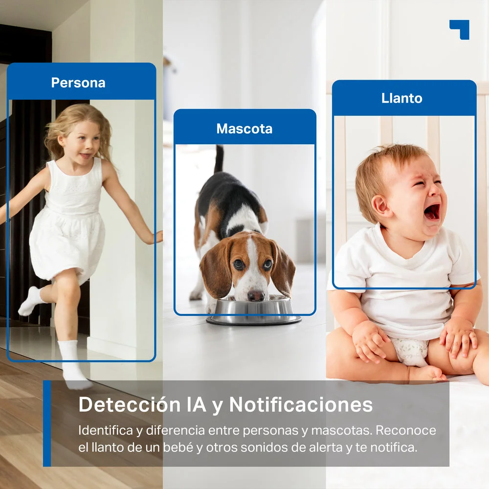 camara-inteligente-wifi-tapo-c225_2